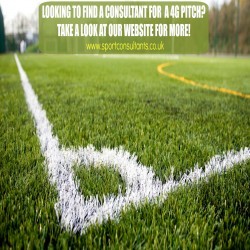 Sports Turf Consultancy in East Carlton 3