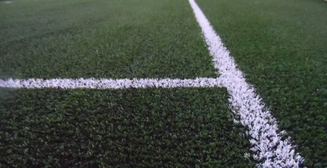 Sports Pitch Consultants in North End